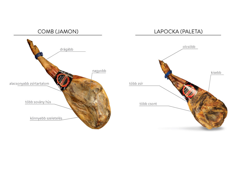 A jamón (hátsó comb) jobb, mint a paleta (mellső comb)